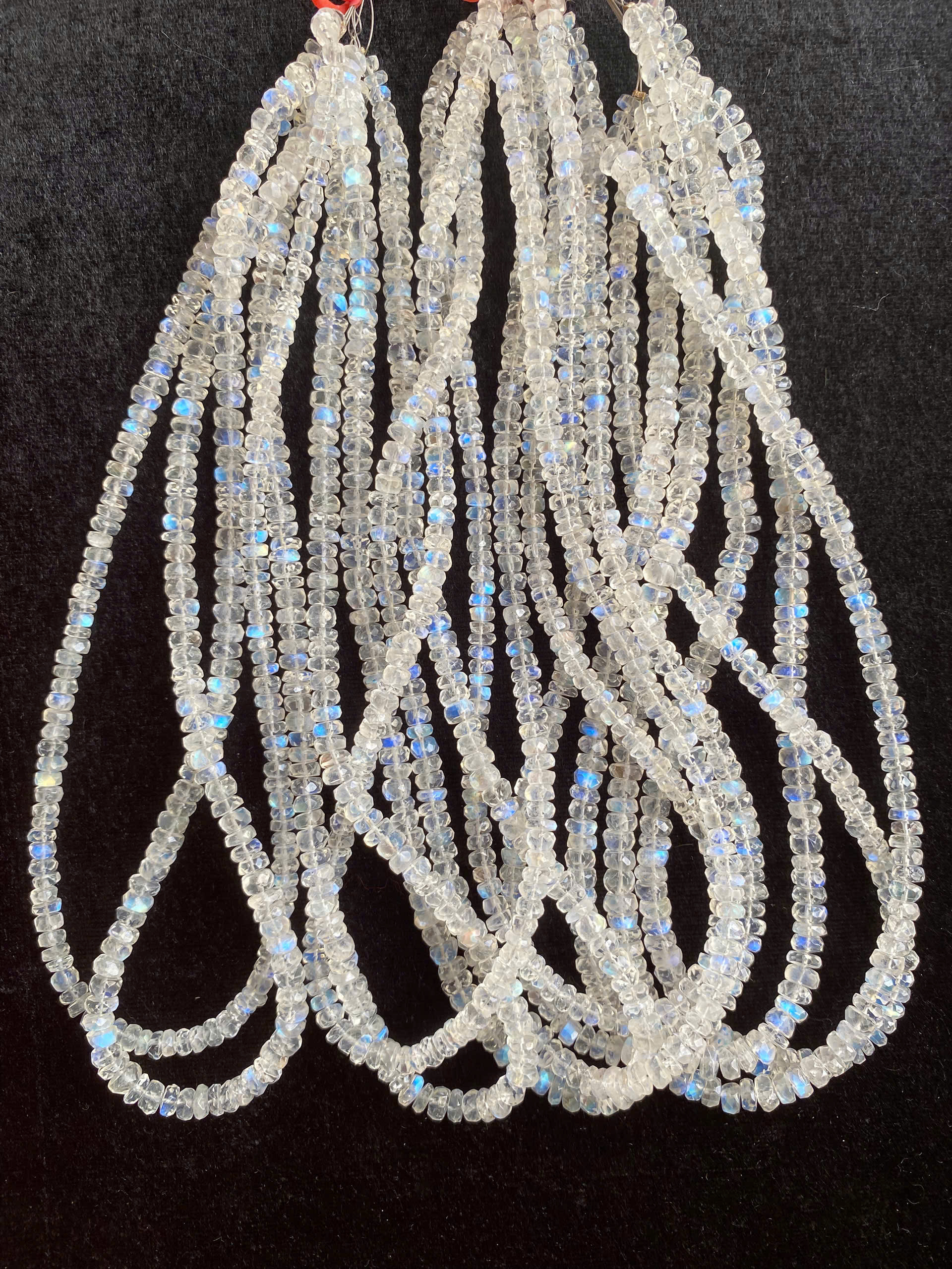 Chuỗi moon cắt giác #2